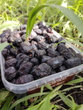 Ajwa Dates from Madinah