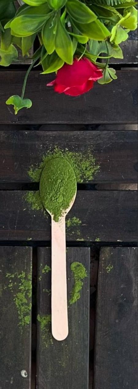 Moringa (Powdered) from Madinah